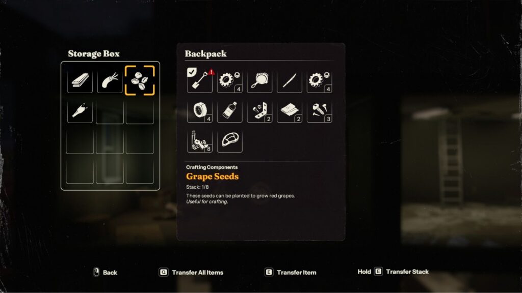 新アイテム「Grape Seeds」の画像